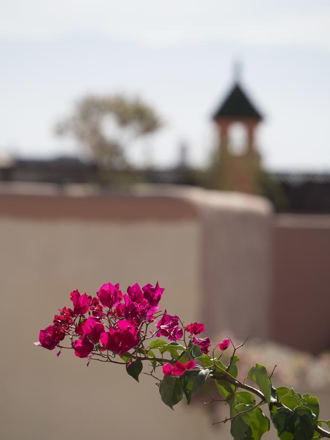 Dar Andamaure Hotel Marrakesh Ngoại thất bức ảnh